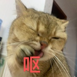 油茶汤圆mua