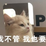 精神小妹
