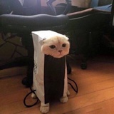 对方正在长头发