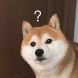 是水桶啊