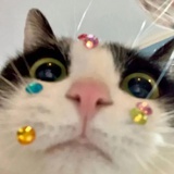 摩西摩西
