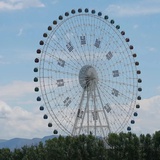 只想搞钱