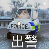 ------雾以泪聚-