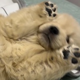花生牛奶