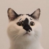 行为可见素质