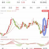 阿皮