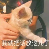 哈喽哈喽