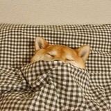 四海为家中