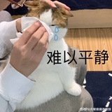 空空二两杯-