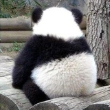 龙玖