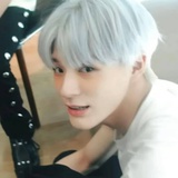 小狗国王O_o