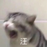 厌献