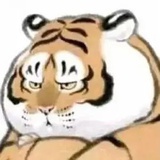 手撕包菜