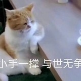 辣牛肉