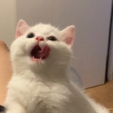 爱我好吗