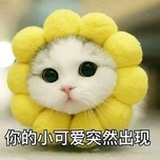 吃瓜号333