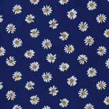 说了你也不认识