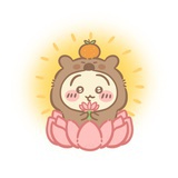 吃不胖杂粮煎饼