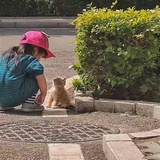 打不倒的复读机