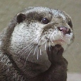 _qsgwji