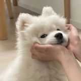 庆祝毅力