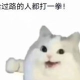 海盐芝士卷不卷