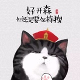五五
