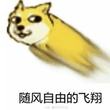 dihdbdjej