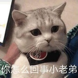 2021冲鸭