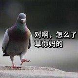 静待花开