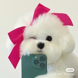Lilll_