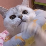 螺蛳粉好好吃