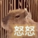 卡皮巴拉拉能量