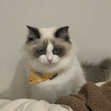 江東