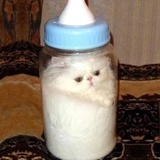 霓虹甜心