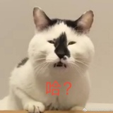胡先森