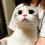 豆友203152772