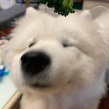 绻泉