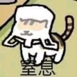 今天也超爱阔落