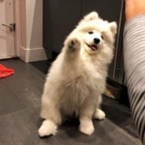 小叶不要再熬夜