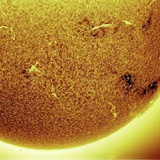 ☀️☀️☀️