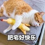 我爱慢慢爬