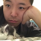 十一爸爸