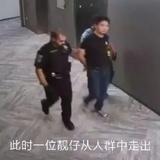 猪头彬哪里跑