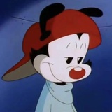 亲爱的海绵先生