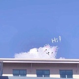 cC姑姑