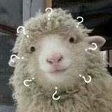 郑好多钱
