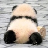 小馅儿