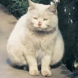 我想开了