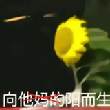 隔壁领导是舔狗